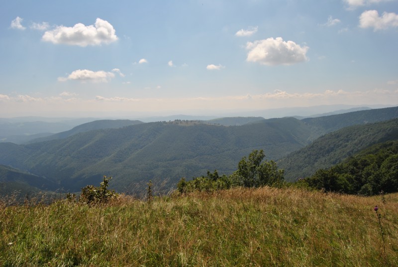 pepajs.cz